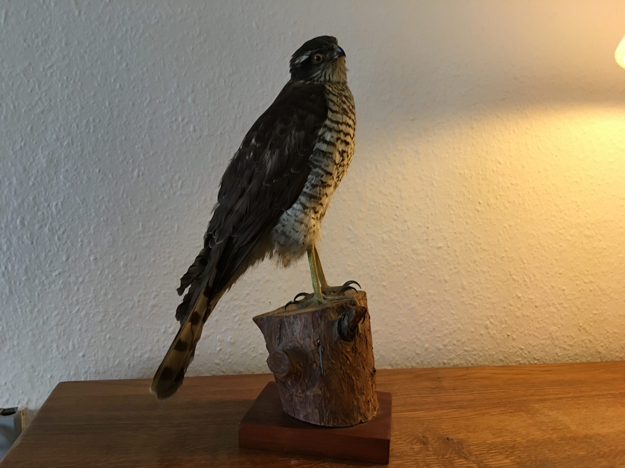 500 kr