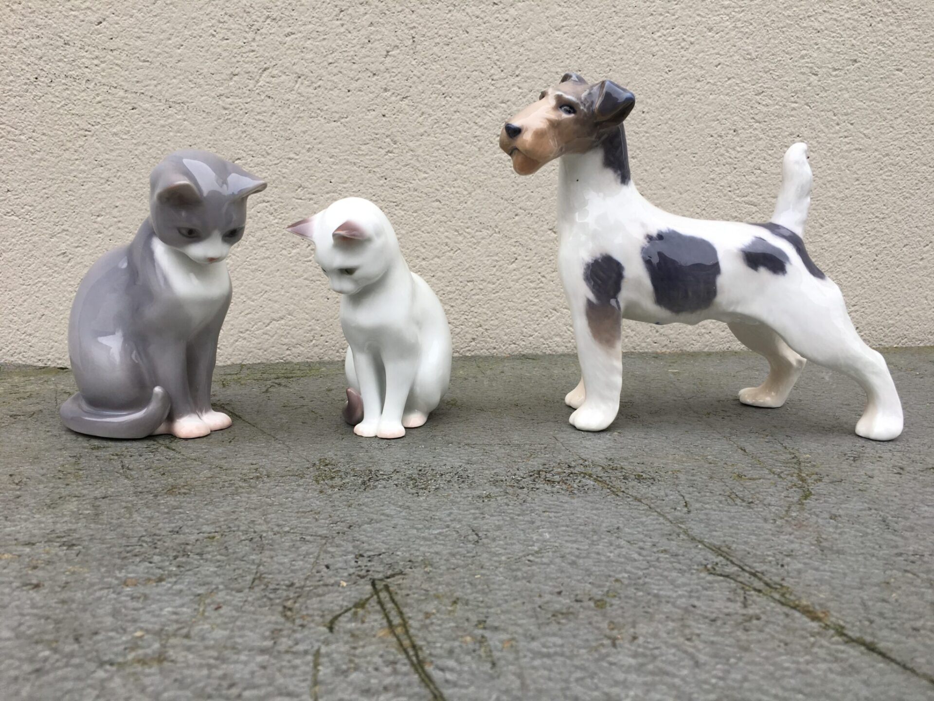 B&G Katte pr. stk 400 kr. Kgl. porcelæn Ruhåret terrier 400 kr