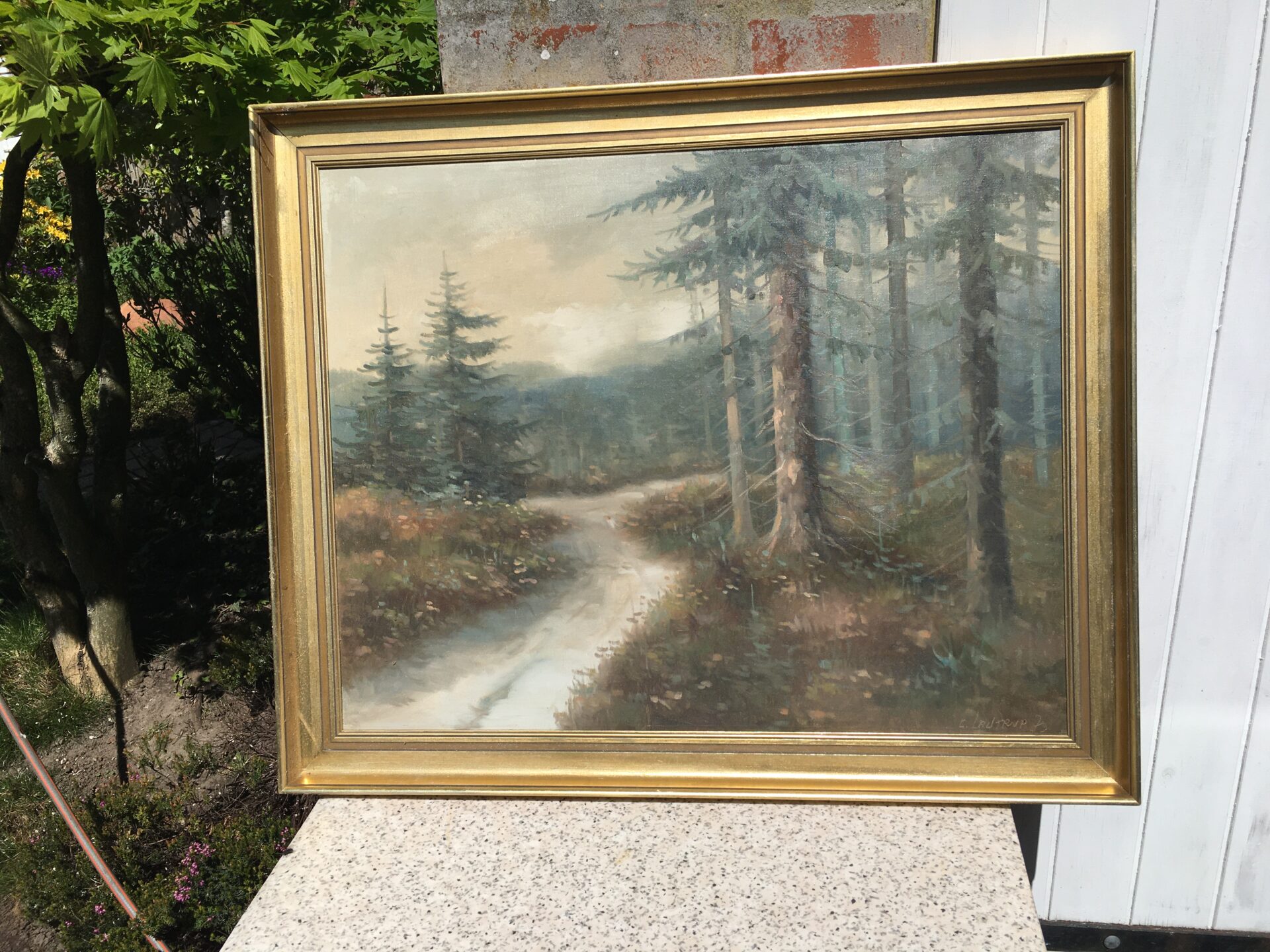 maleri C. Lautrup, 100 kr