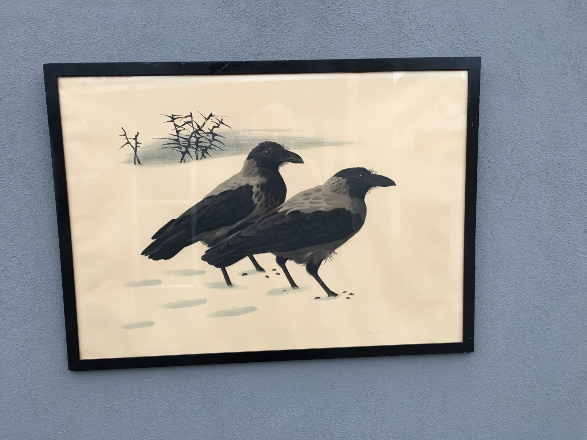 Gammelt Sikker Hansen tryk, rammemål 50x70 cm, pris 400kr